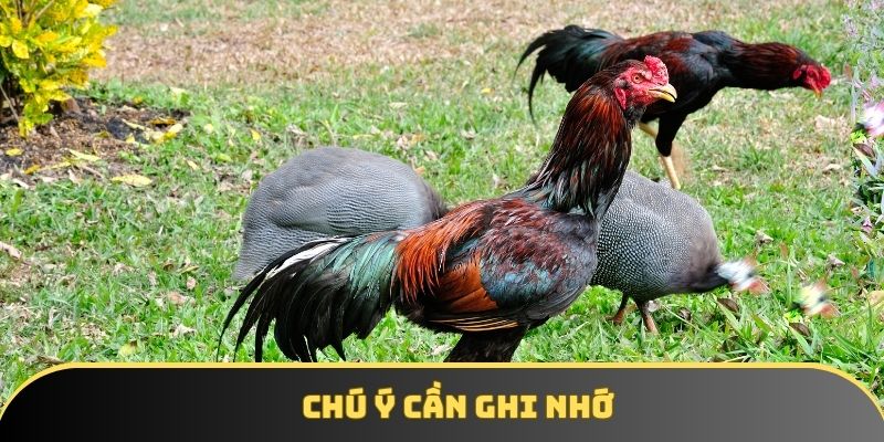 Chú ý cần ghi nhớ