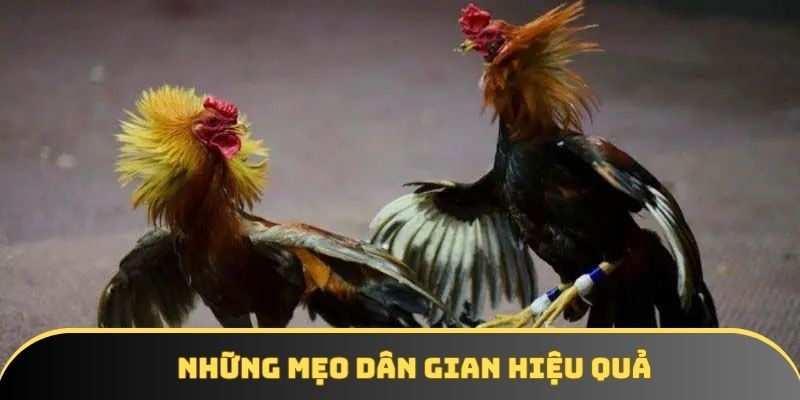 Những mẹo dân gian hiệu quả