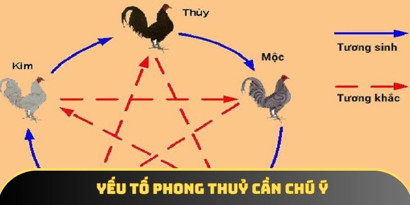 Yếu tố phong thuỷ cần chú ý