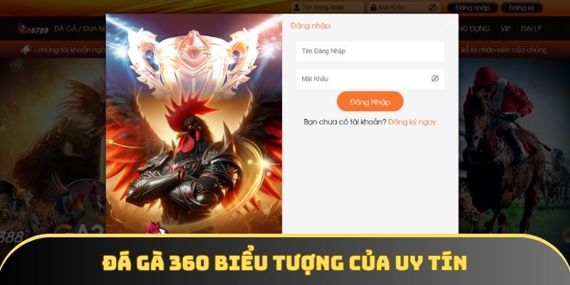 Đá gà 360 biểu tượng cho sân chơi uy tín Đá gà 360 biểu tượng cho sân chơi uy tín