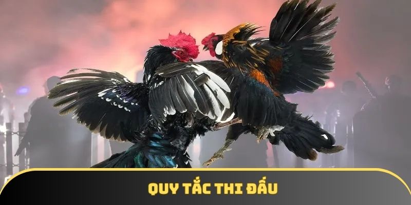 Quy tắc thi đấu Quy tắc thi đấu