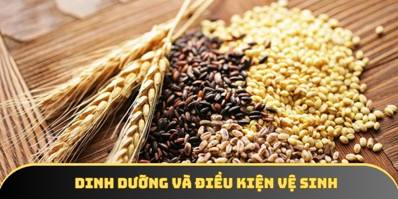 Chế độ dinh dưỡng và điều kiện vệ sinh cũng cực kỳ quan trọng Chế độ dinh dưỡng và điều kiện vệ sinh cũng cực kỳ quan trọng