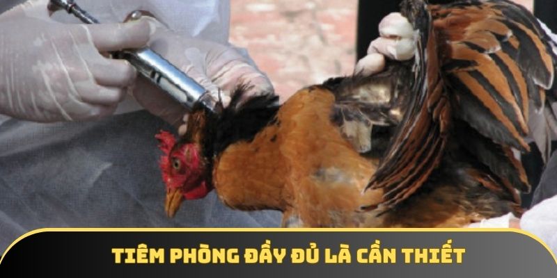 Tiêm phòng đầy đủ tạo nền tảng phát triển vững chắc Tiêm phòng đầy đủ tạo nền tảng phát triển vững chắc