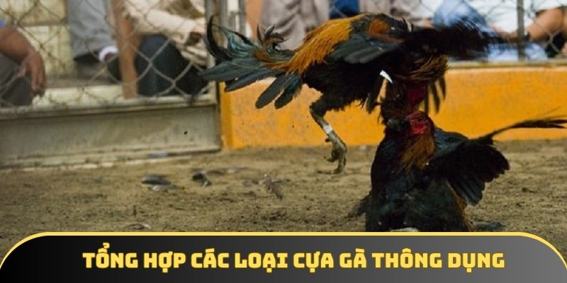 Tổng hợp các loại cựa gà thông dụng