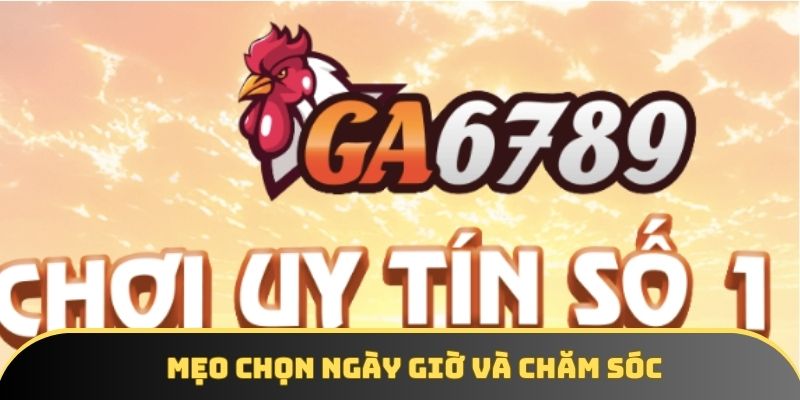 Mẹo chọn ngày giờ và chăm sóc
