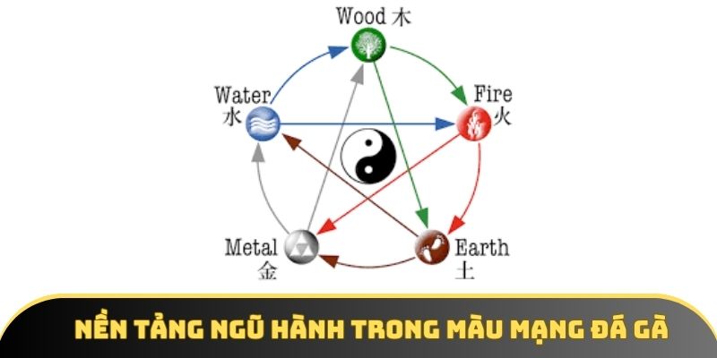 Nền tảng ngũ hành trong màu mạng đá gà