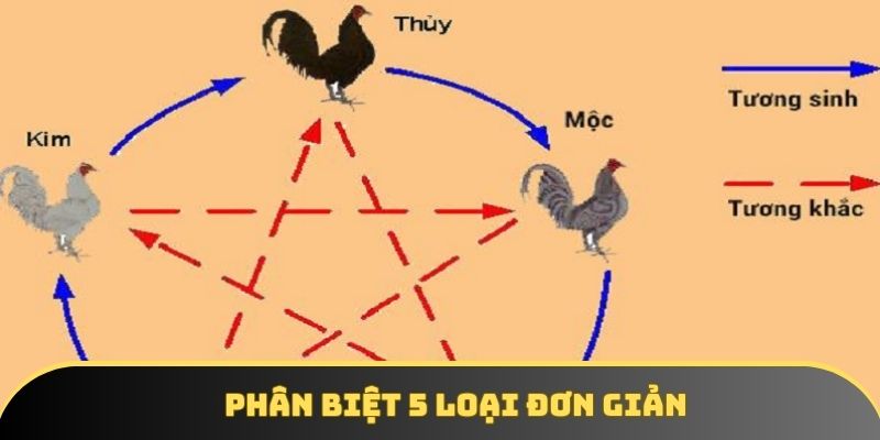 Phân biệt 5 loại đơn giản