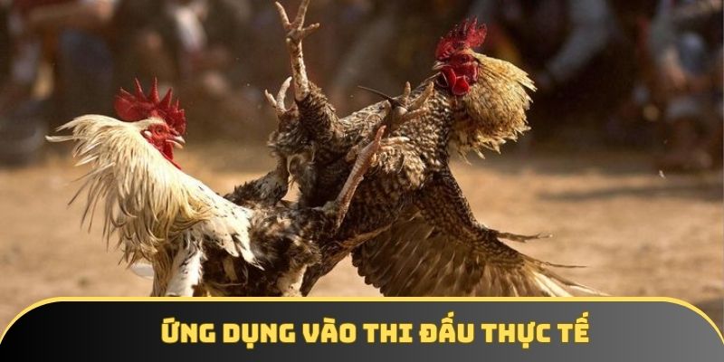 Ứng dụng vào thi đấu thực tế