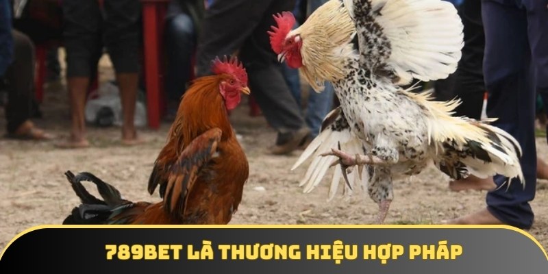 789BET là thương hiệu bảo chứng về độ minh bạch và hợp pháp 789BET là thương hiệu bảo chứng về độ minh bạch và hợp pháp