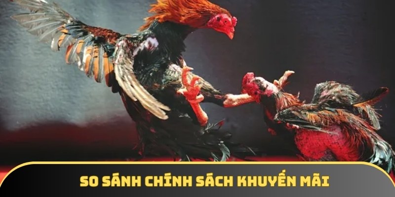 So sánh chính sách khuyến mãi tại các nhà cái đá gà So sánh chính sách khuyến mãi tại các nhà cái đá gà
