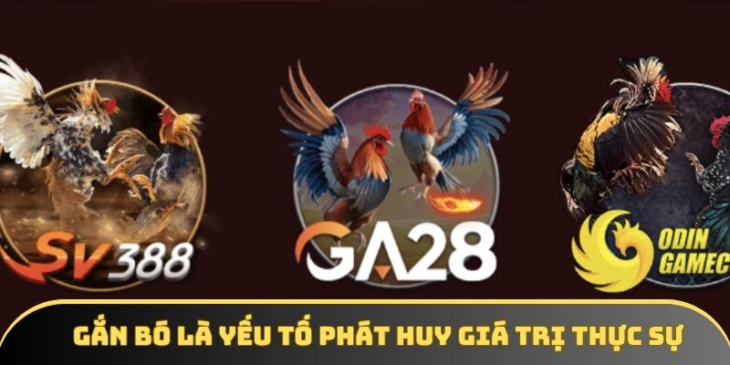 Gắn bó là yếu tố phát huy giá trị thực sự