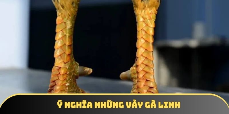 Ý nghĩa những vảy gà linh