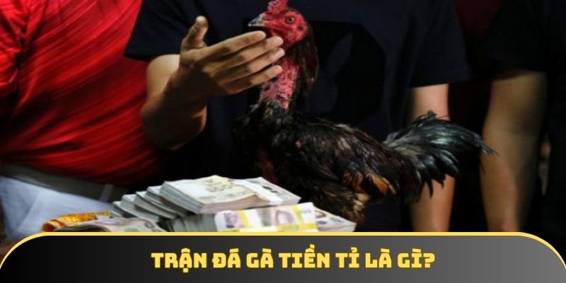Trận đá gà tiền tỉ - 4 yếu tố tạo nên trận đấu đẳng cấp 2025