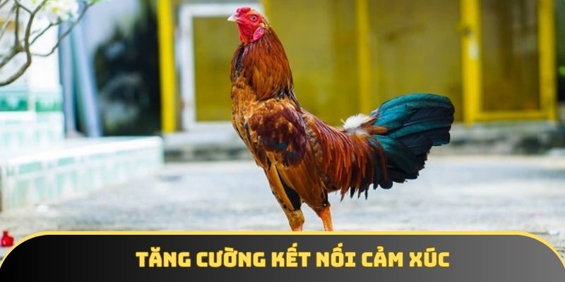 Hình thái đặc biệt này giúp tăng tính kết nối cảm xúc
