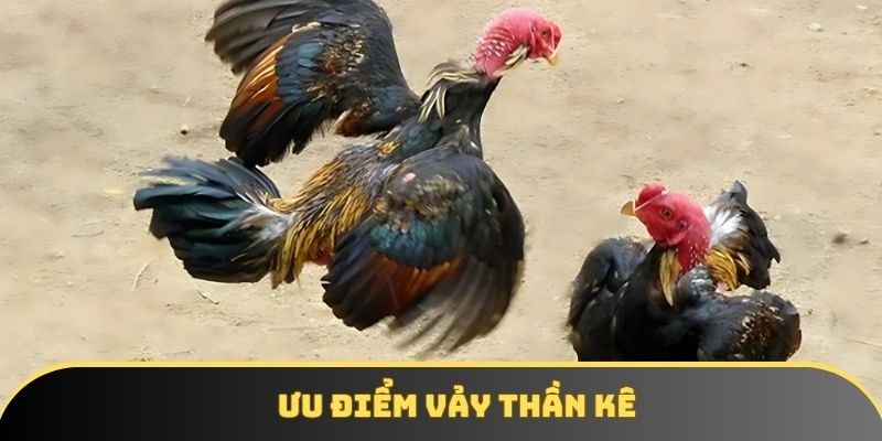 Ưu điểm vảy thần kê